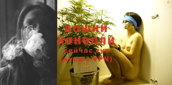 стафф Белокуриха