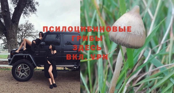 дурь Богородицк