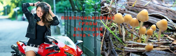 стафф Белокуриха