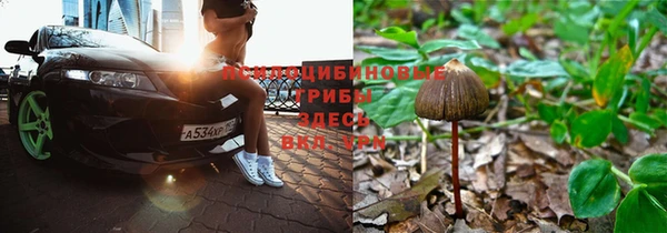 a pvp Богданович