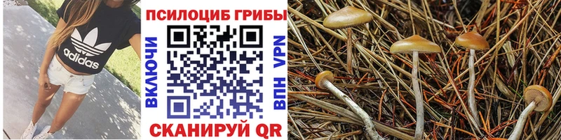 Псилоцибиновые грибы ЛСД даркнет формула Белореченск
